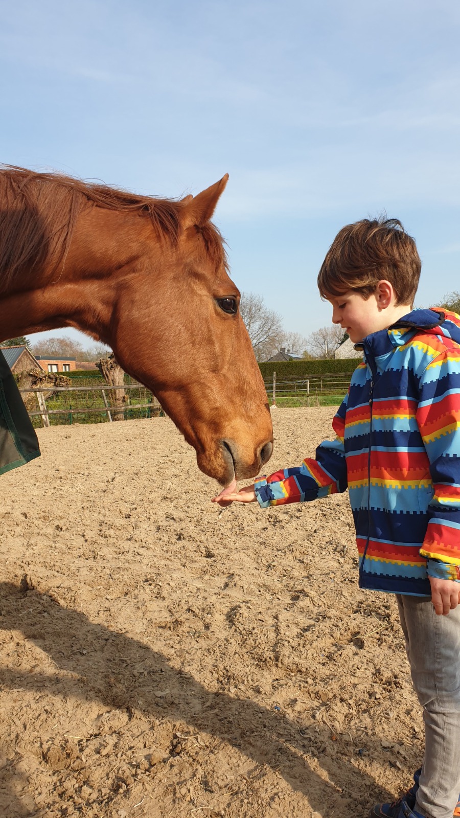 Welkom bij Happy Peppie